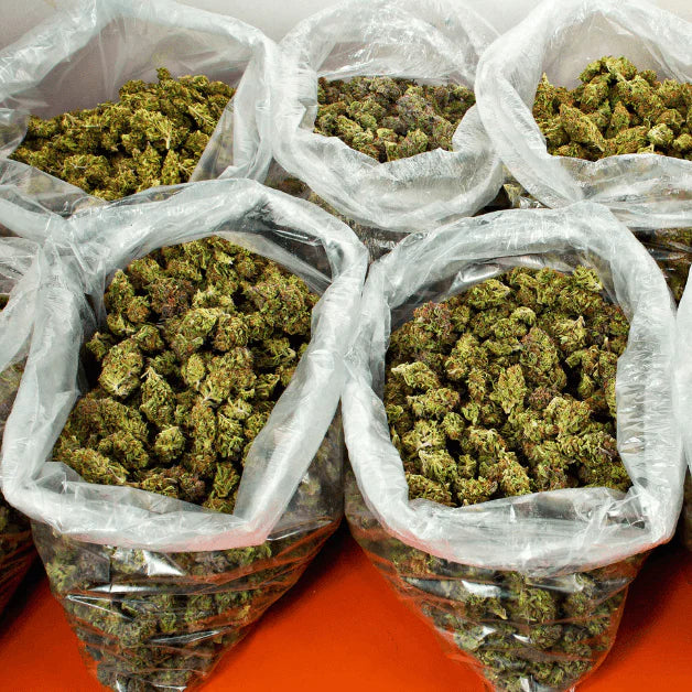 Bulk Flower