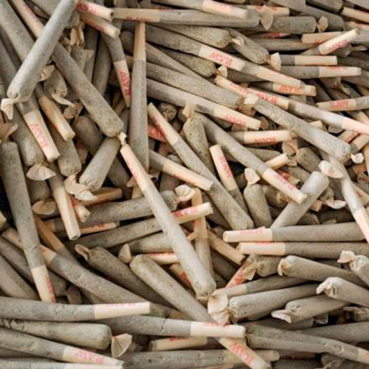 Bulk - Pre-Rolls - 500 Count