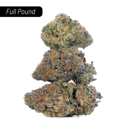 Bulk - FULL Pound - Indoor (GOLD)